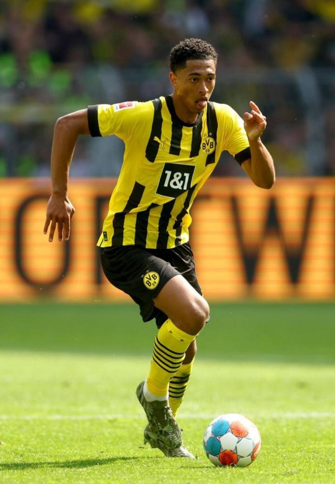 莱默尔：拜仁永远是个竞争激烈的鲨鱼池，必须拿出好的表现